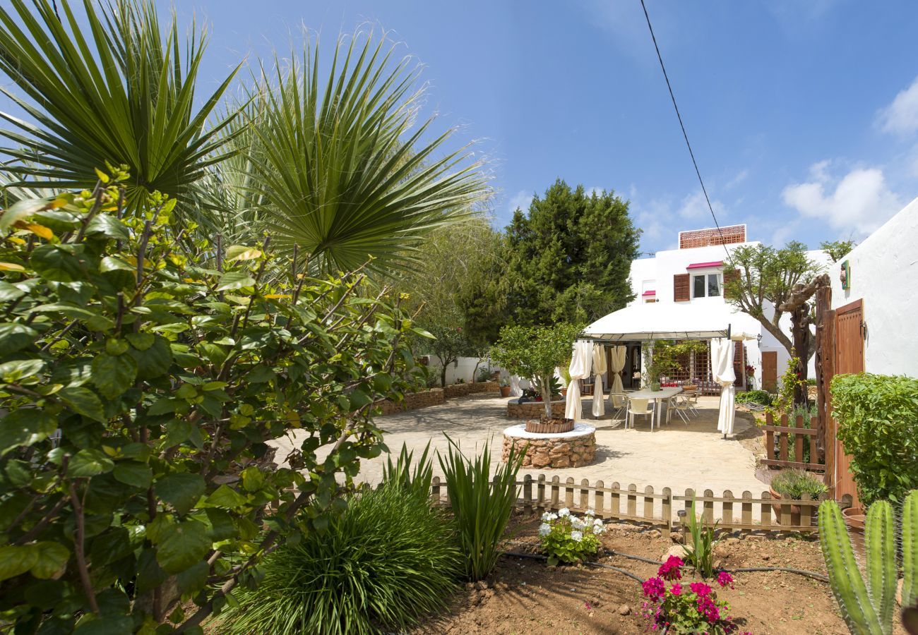 Privater Garten der Villa Can Lucia neben dem Strand von Sant Antoni auf Ibiza.