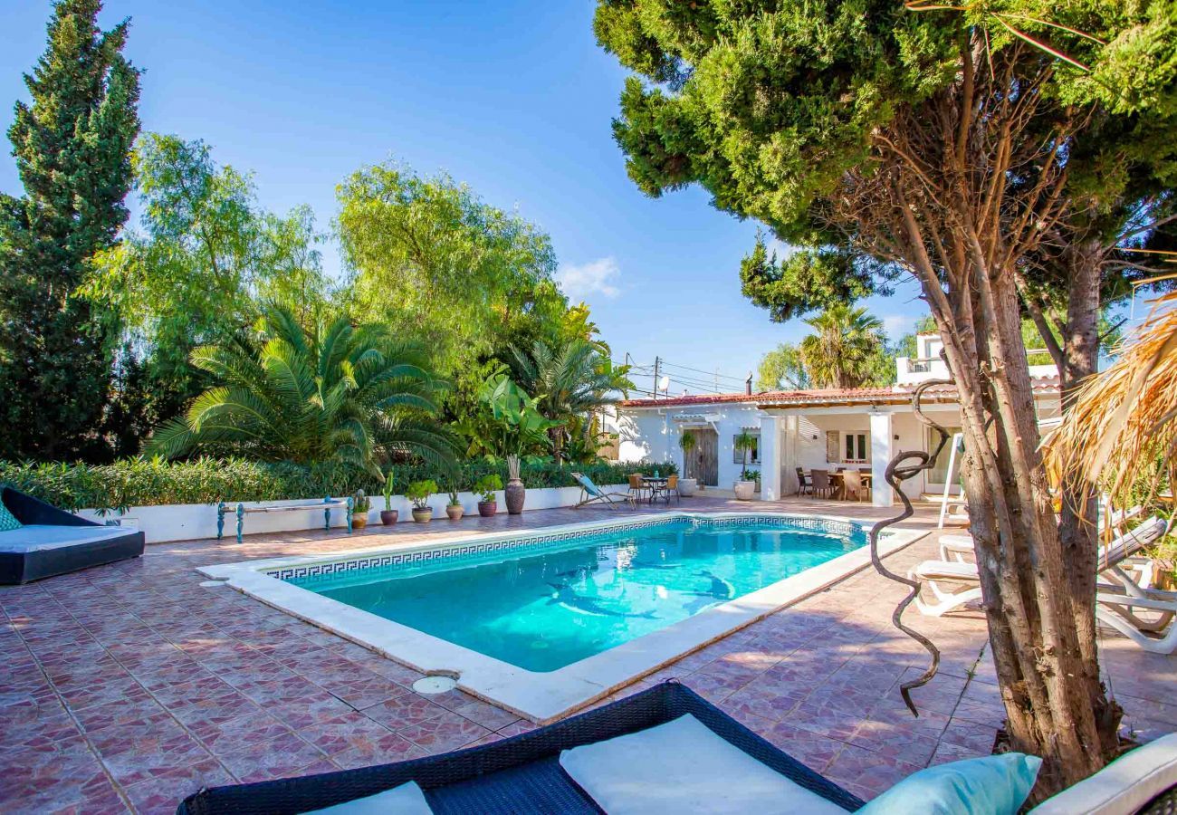 Privater Pool der Villa Can Massinet in Sant Jordi